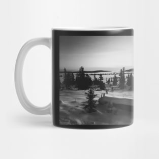 Black and White Shot of Foggy Fir Tree Backcountry in Norway Mug